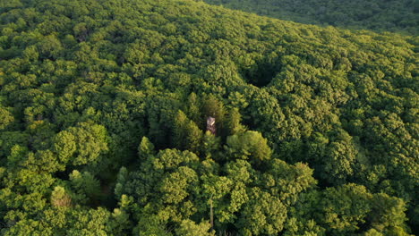 aerial drone flying forward through green summer forest and focusing on rural mountain fire tower cabin in the middle of the trees at sunset in pennsylvania