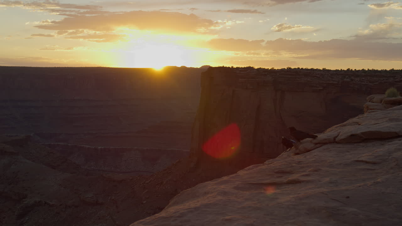 cuervos sentados en el borde del acantilado al atardecer en moab, utah