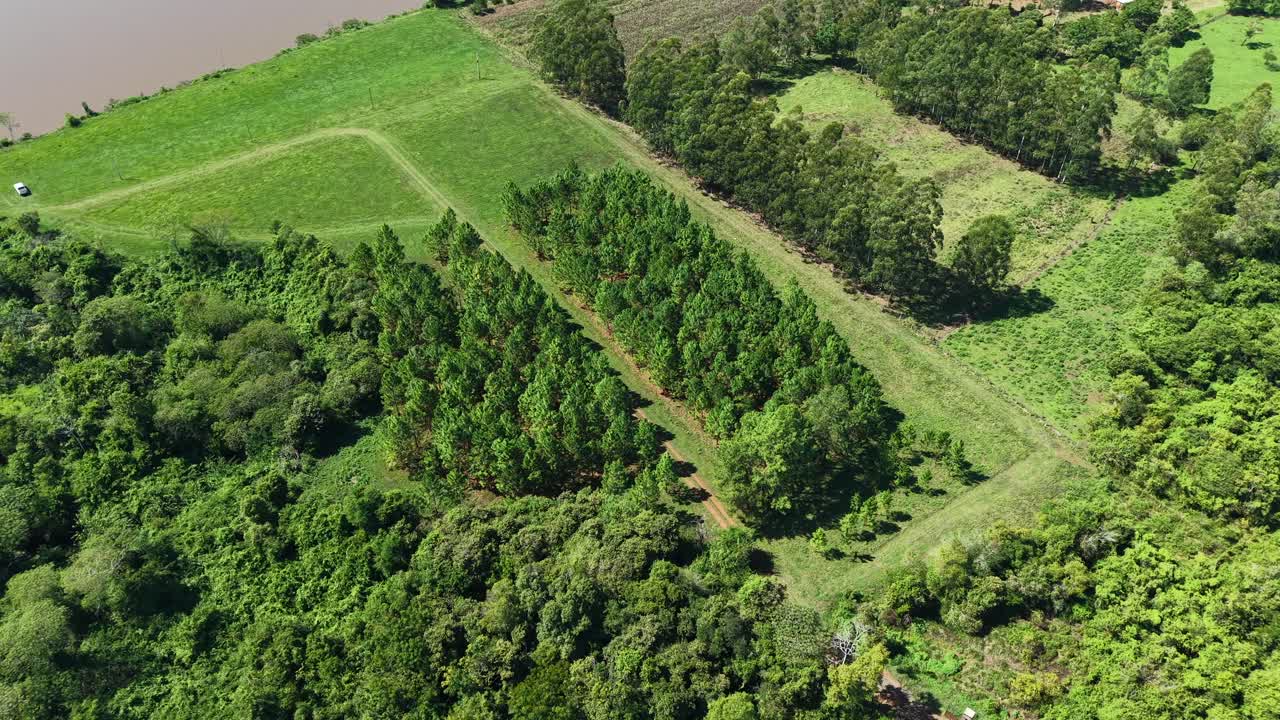 Aerial Drone View of Green Rural Landscape and Tree Plantations near River, Panambí Misiones Argentina