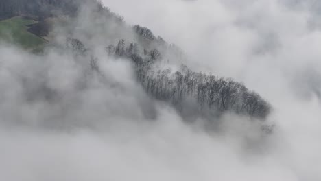 Misty-veil-over-a-serene-winter-forest-landscape,-Switzerland