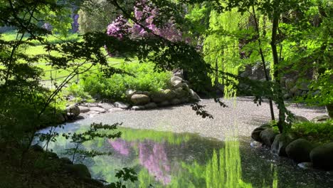 Lago-En-El-Parque-En-Un-Día-Soleado