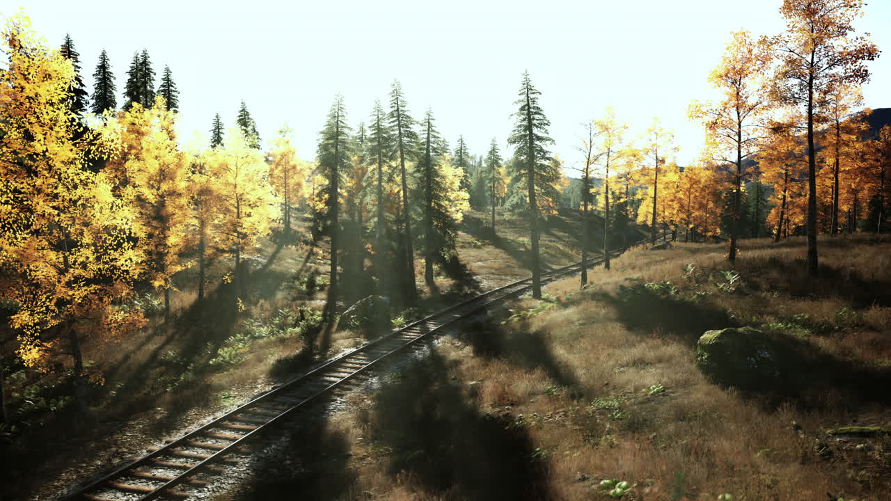 가을의 숲 열차 트랙