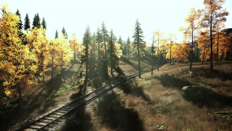 vías de trenes forestales de otoño