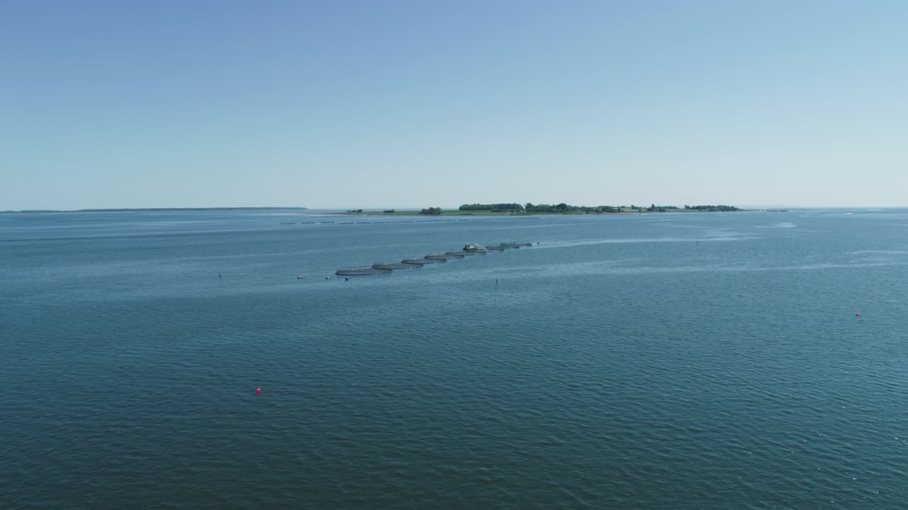 생선 농장 그물