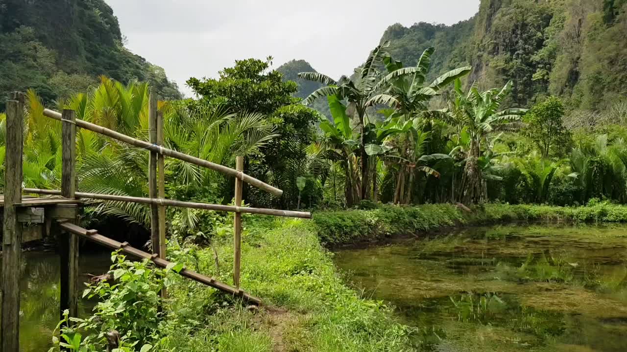 moviéndose hacia un puente de madera en el banco con vistas a las colinas y árboles de plátano en rammang-rammang, makassar, indonesia