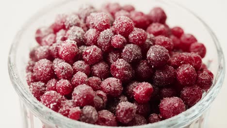 frozen cranberries in snow for tea, background close up of cranberry berries in winter park, ice fridge macro.