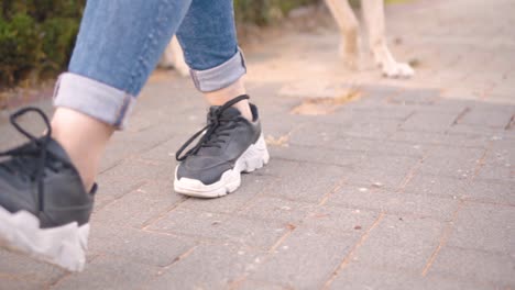 girl walking with a dog in the park - legs close up