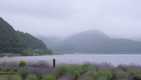 lake kawaguchiko at mount fuji in japan - the famous fujiyama