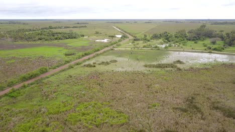 Wetlands-of-northeast-Argentina-shooted-with-drone