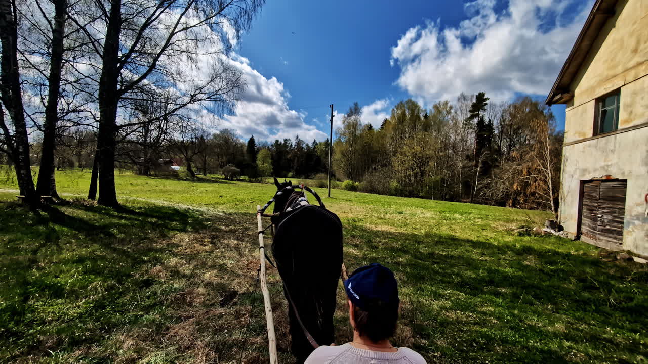 Traditional horse cart rural simple life Eastern Europe countryside ride outdoor