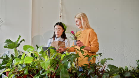 mujer asesorando sobre plantas de interior en una tienda