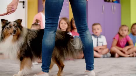 Grupo-De-Niños-Durante-La-Terapia-Con-Perros-En-El-Preescolar.