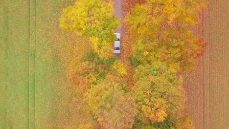 Drone-shot-of-a-car-riding-through-colorfull-trees