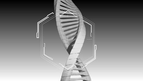 Animación-De-Formas-Sobre-Cadena-De-ADN-Sobre-Fondo-Gris.