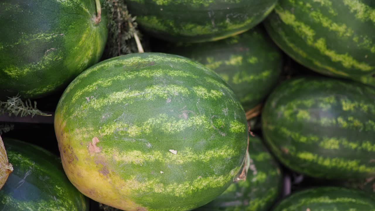 Close-up View of Fresh Watermelons on Display