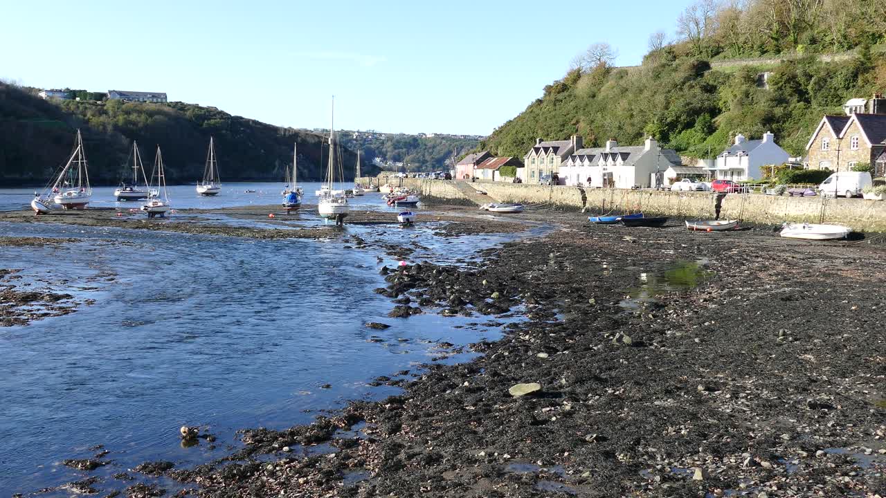 A serene coastal scene with boats moored at low tide along a rocky shoreline, adjacent to quaint cottages under clear blue skies, creates a peaceful and picturesque atmosphere