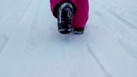 caminar sobre terreno nevado con dificultad tiro de ángulo bajo