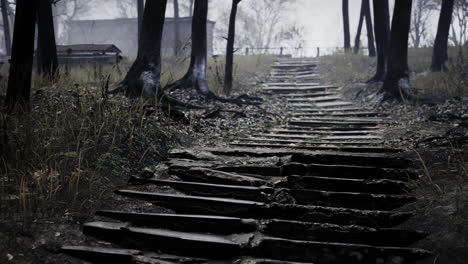 pripyat cityview of exclusion zone near the chernobyl nuclear power plant