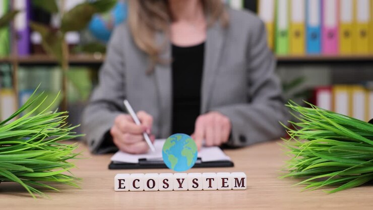 Concetto di ecosistema