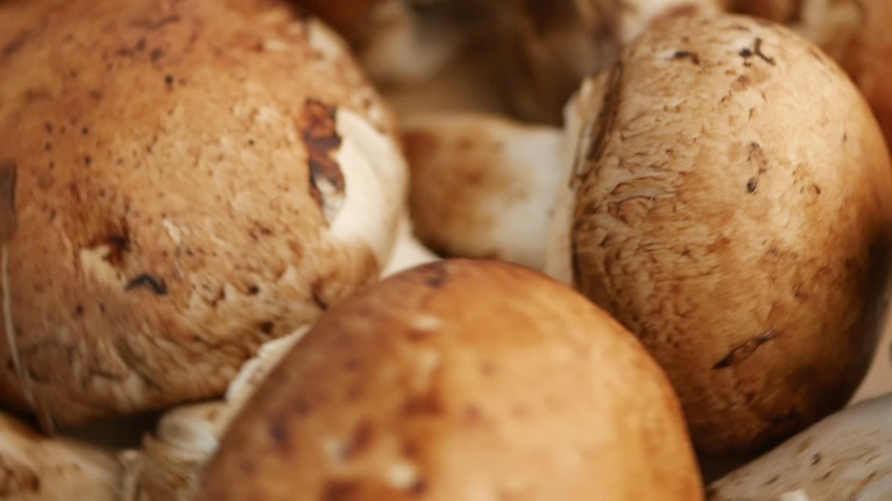Brown Mushrooms