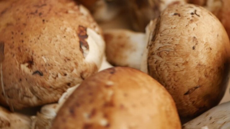 Brown Mushrooms