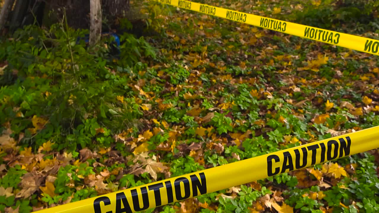 Downward tracking view moves over yellow caution tape stretched between trees, blocking access to restricted area in forest park. Fallen autumn leaves cover forest floor. Danger ribbon marking scene