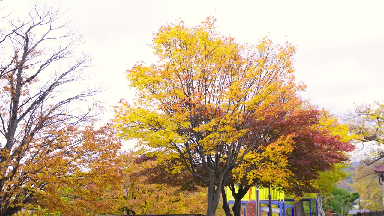 오타루 최고의 뷰