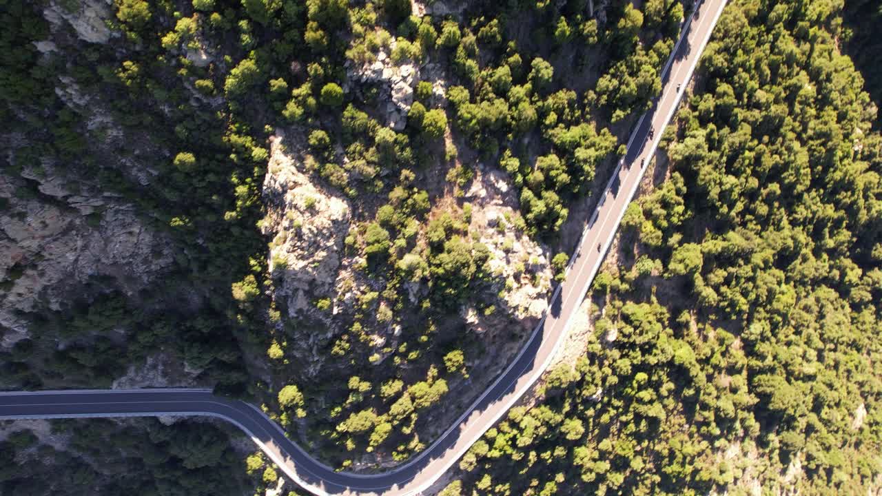 한 무리의 오토바이 운전자들이 산길을 따라 달린다