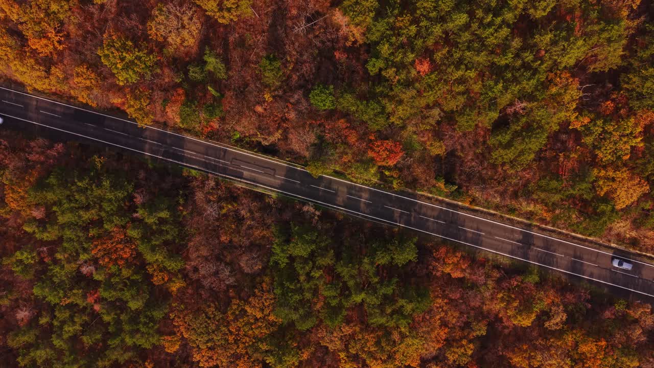 Stunning autumn landscape over a road in Bulgaria surrounded by forests