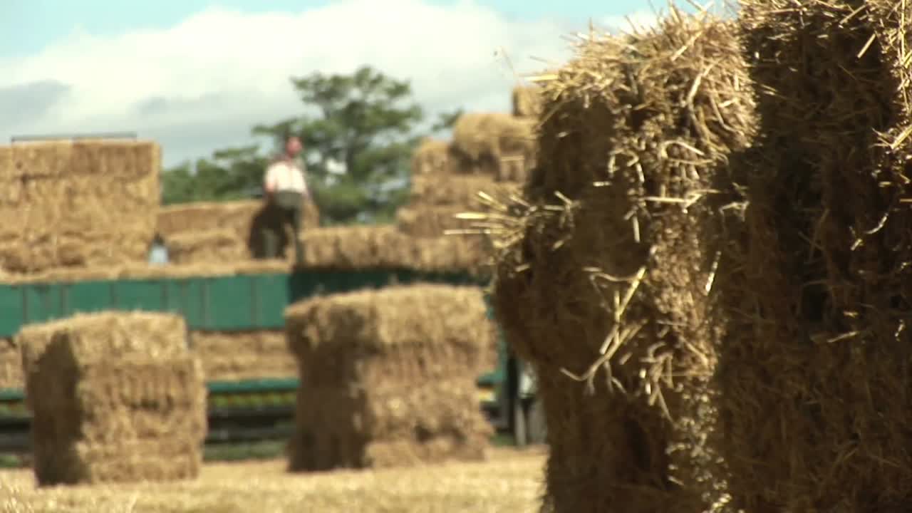 cubiertas de heno en la cosecha