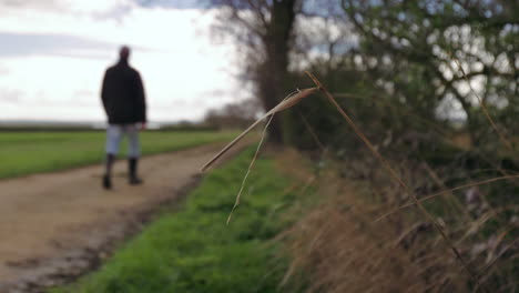 footage of grass blowing in the wind, then a man appearing walking away from the camera, this is set in the countryside