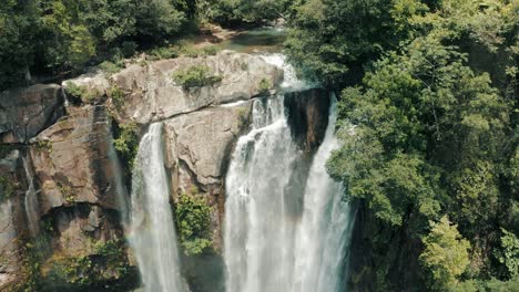 frondosos árboles verdes en el bosque de acantilados de montaña en las cascadas de nauyaca, costa rica