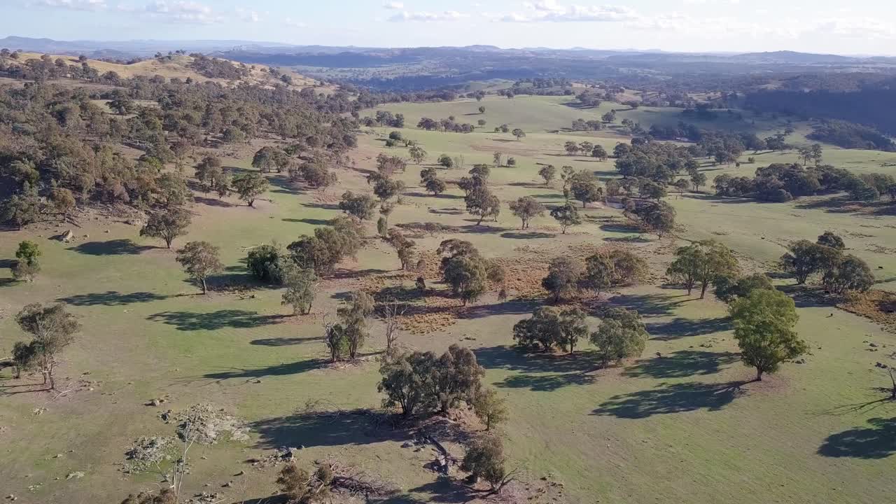 vuelo aéreo sobre el bosque en australia con sol y nubes en el fondo, tiro de larga distancia moviéndose hacia adelante y luz inclinada hacia arriba