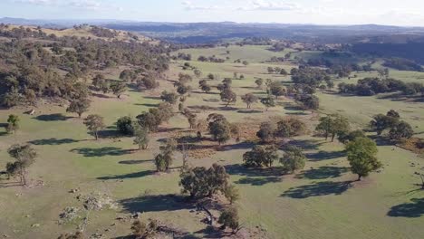 Aerial-flight-over-forest-in-Australia-with-sun-and-clouds-in-the-background,-long-distance-shot-moving-forward-and-light-tilt-up