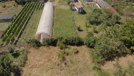 Slow-motion-of-aerial-drone-footage-above-green-house-agriculture-industry-in-the-home