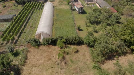 cámara lenta de imágenes de drones aéreos sobre la industria agrícola de la casa verde en el hogar