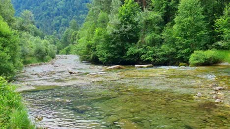 stream in the italian alps