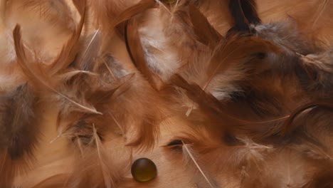 Top-view-of-a-minimal-background-rotating,-with-soft-and-fluffy-white,-brown-and-black-feathers-falling,-near-some-stones,-on-a-light-wooden-background