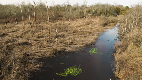 Point-remove-wildlife-area,-blackwell,-ar,-with-a-meandering-stream-and-bare-trees,-aerial-view