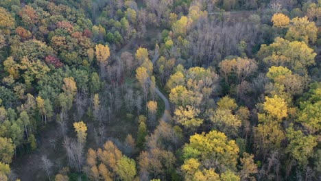 Vista-Aérea-De-Green-Bay-Wisconsin-Baird-Creek-Park-Sendero-A-Través-Del-Bosque