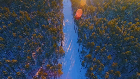 transmission towers in forest. aerial forest landscape. electricity energy