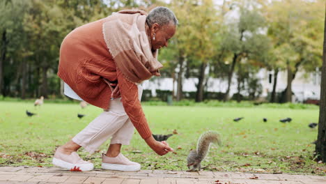 Relax,-squirrel-and-feeding-with-old-woman