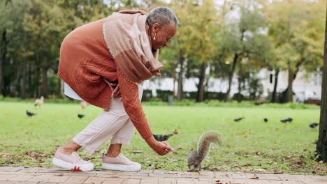 relax, squirrel and feeding with old woman