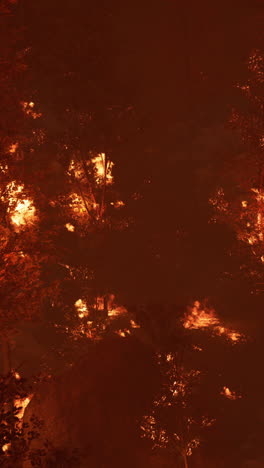 forest fire at night