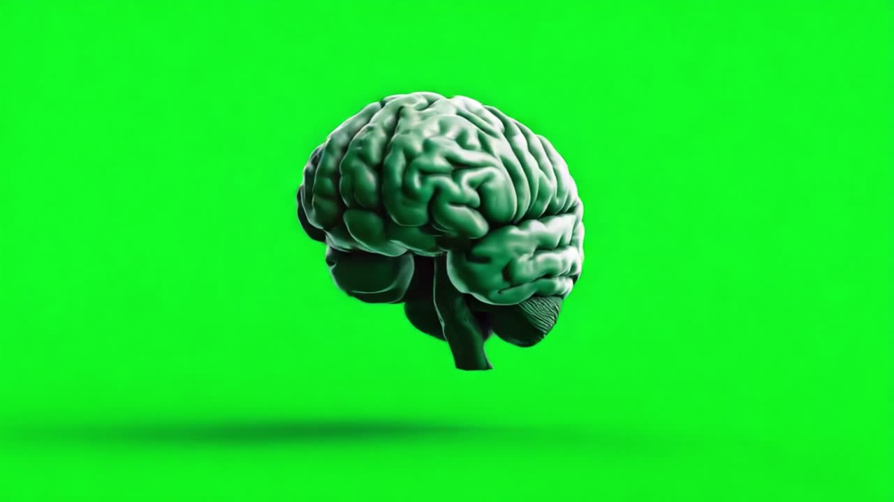 A Vibrant Green Background Highlights the Intricate Details of a Floating Brain, Showcasing the Complexity of Neurological Structures in Stunning 3D Visualization