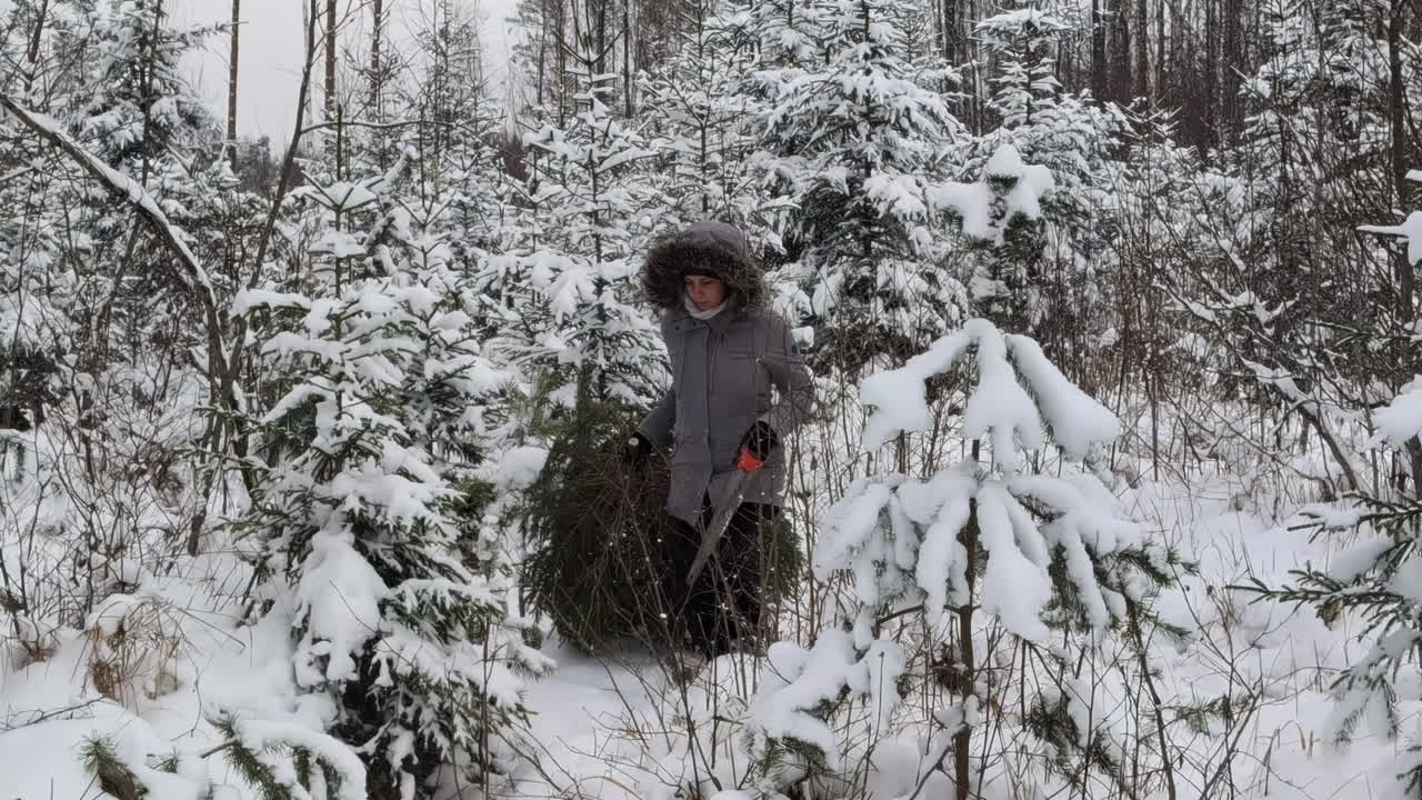 Kvinde fælder et juletræ i en sneklædt skov