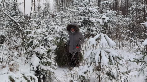 woman harvesting a christmas tree in a snowy forest