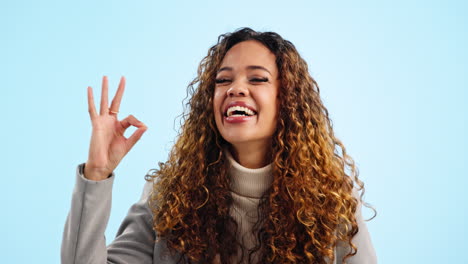 ok, wink and business woman with agreement