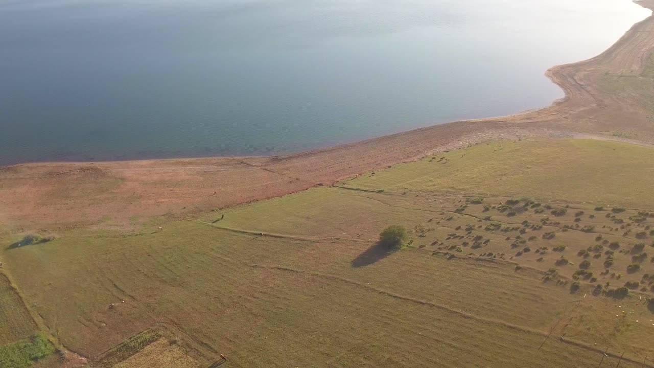 Aerial Shot of a green grass field surrounded by beautiful blue ocean water, bird eye view