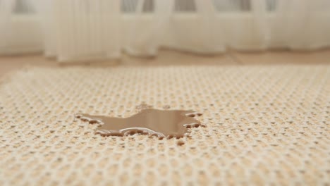 coffee stain on a beige rug